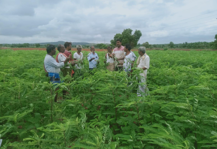 Farmer Involvement and Community Learning in regerative agriculture.PNG